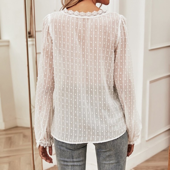 white v neck swiss dot sheer long sleeve top - Picture 5 of 11